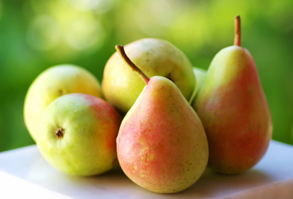 Die Früchte sind ab Mitte September pflückreif und etwa ab Oktober genussreif.