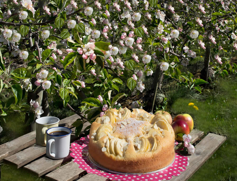 Altländer Apfelkuchen