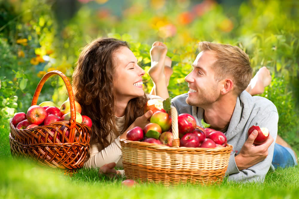 Altes Land: Obstblüte, Landliebe und die Elbe