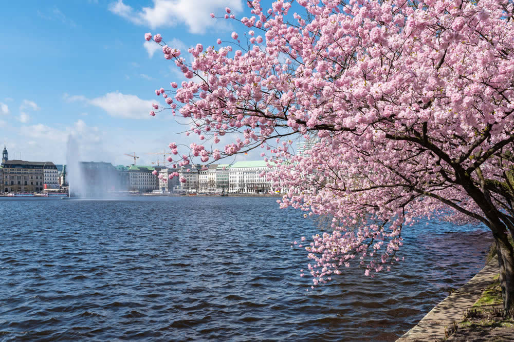 Die Elbe in Hamburg