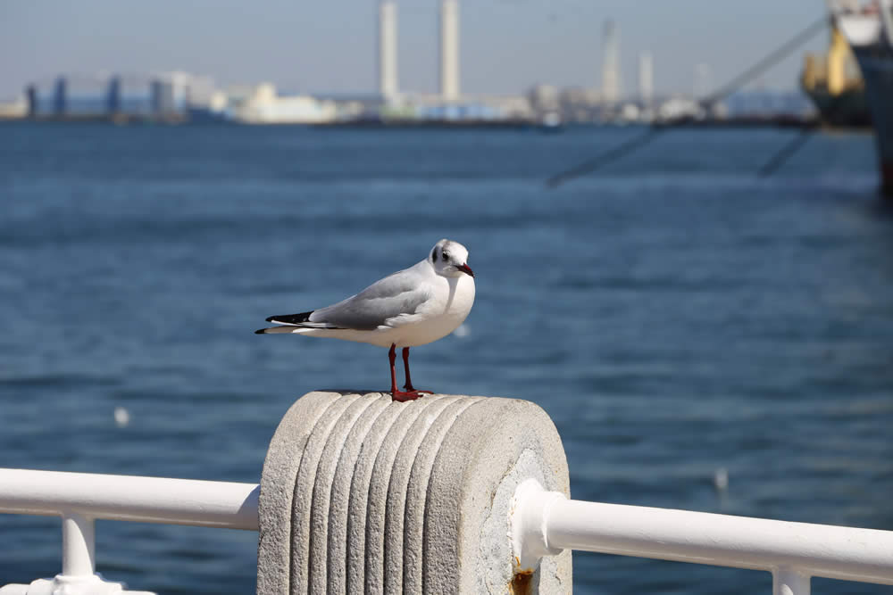 Urlaub am Wasser