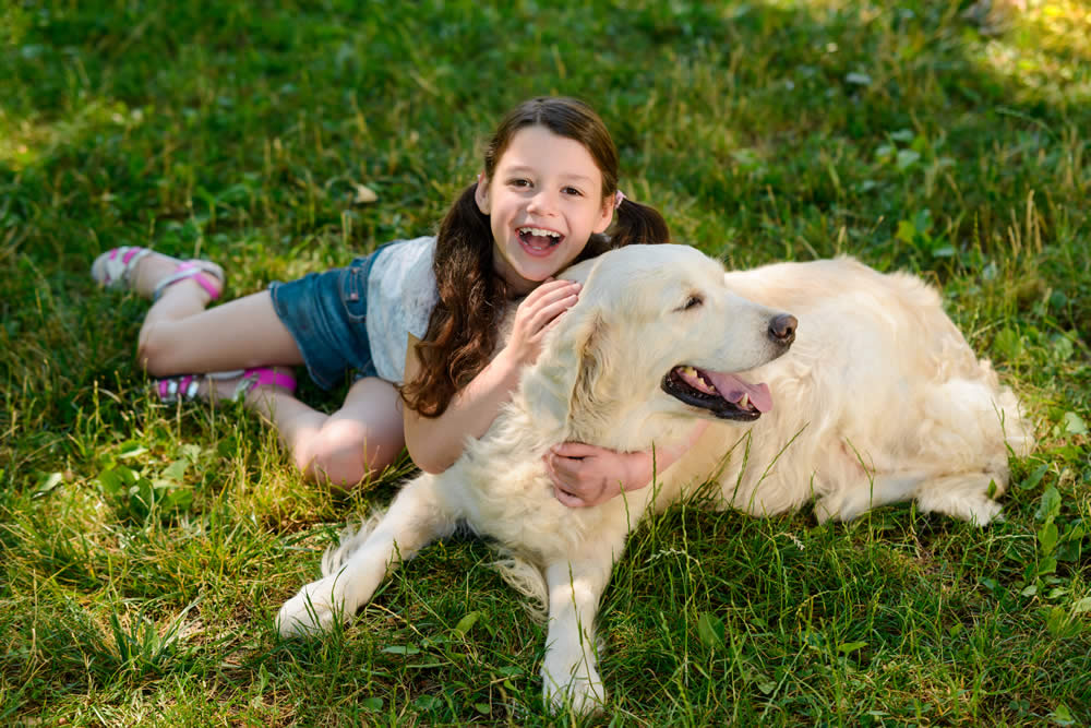 Das Alte Land ist ein beliebter und hundefreundlicher Reiseziel