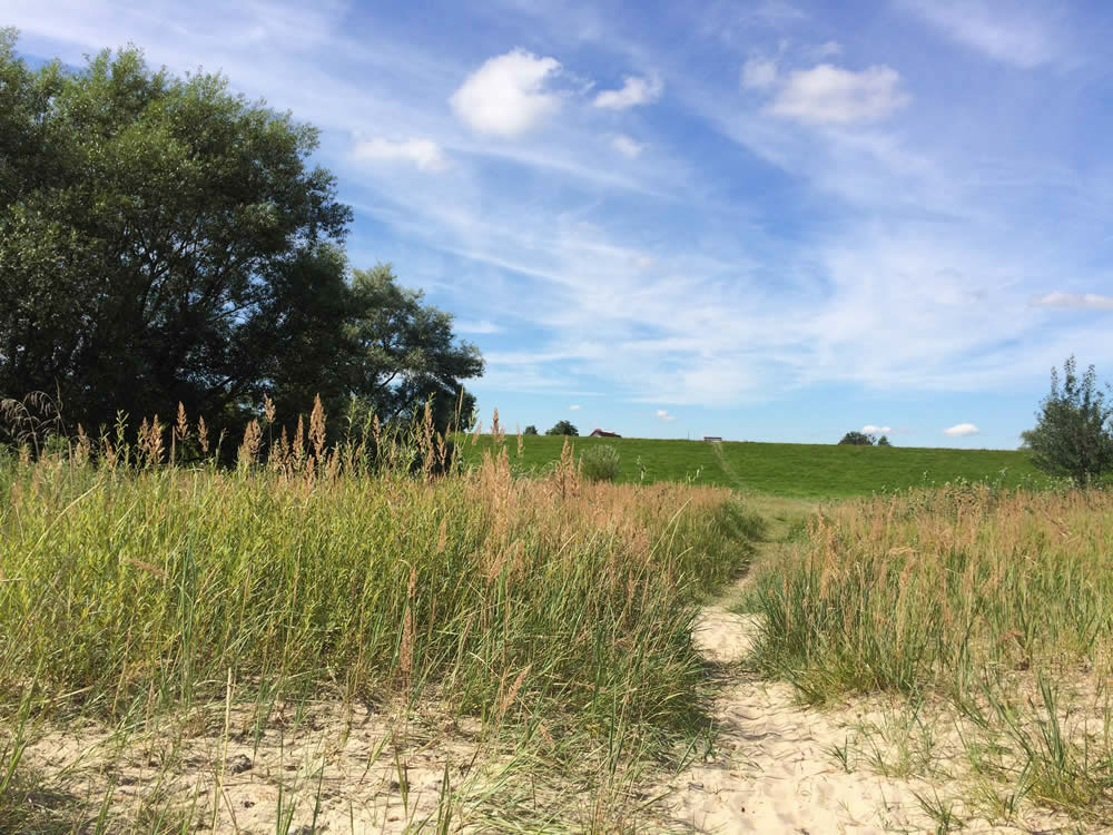 Natururlaub pur im Kehdinger Land