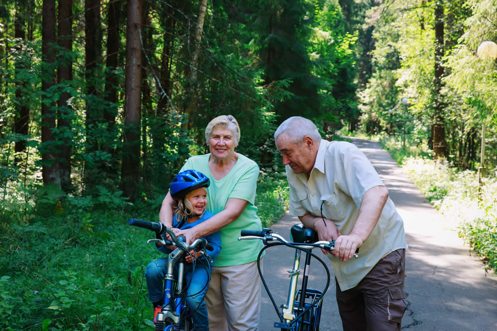 Das Alte Land mit dem Fahrrad entdecken