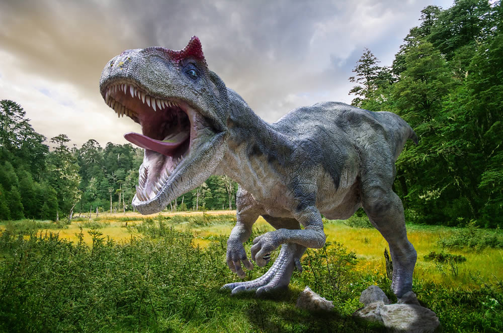 Das Natureum Niederelbe ist ein Freiluftmuseum nahe der Nordsee in Balje